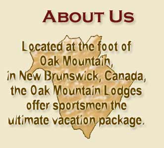 About Oak Mountain Lodge Outfitters - Located at the foot of Oak Montain, in New Brunswick Canada, the Oak Moutain Lodges offer sportsmen the ultimate vacation package