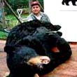 Hunting: Black Bear