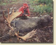 Large Moose with Hunter