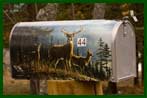 Mailbox with Deers